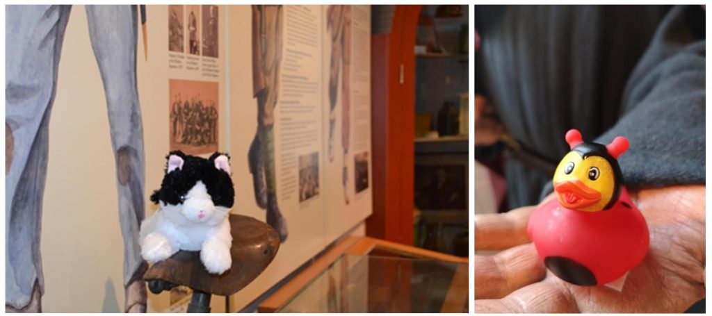Charlie the toy canal cat and a plastic duck, in the museum galleries as spots on a museum trail