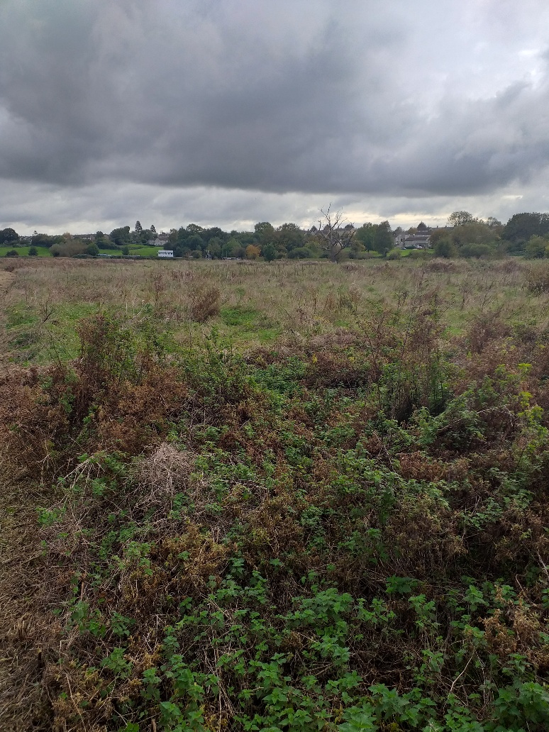 Monkton Park
