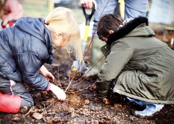 Children planting trees Children planting trees