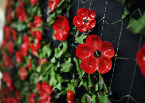 A poppy wall created by local uniformed groups