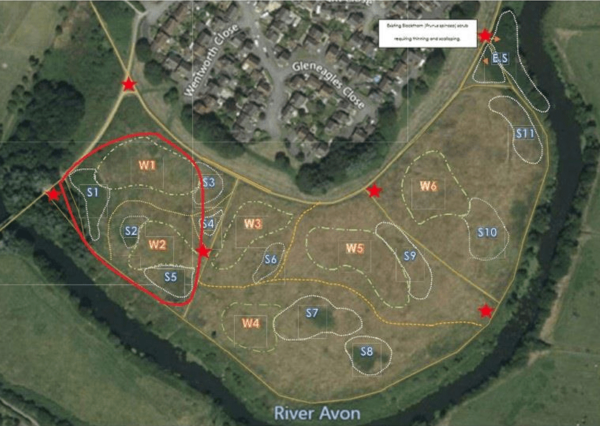 Monkton Park Planting Plan Map of planned planting in Monkton Park Lower Meadow