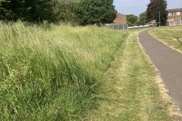 Kingsley Road pathway