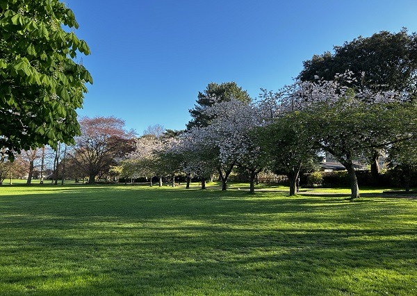 Green Flag Awards for Chippenham