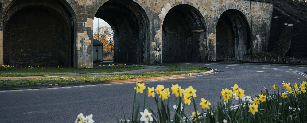 Daffodils Viaduct Header Image Photograph of railway arches with white and yellow flowers