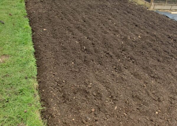 Photograph of a rectangle of soil with green grass surrounding it and a blue shed in the background