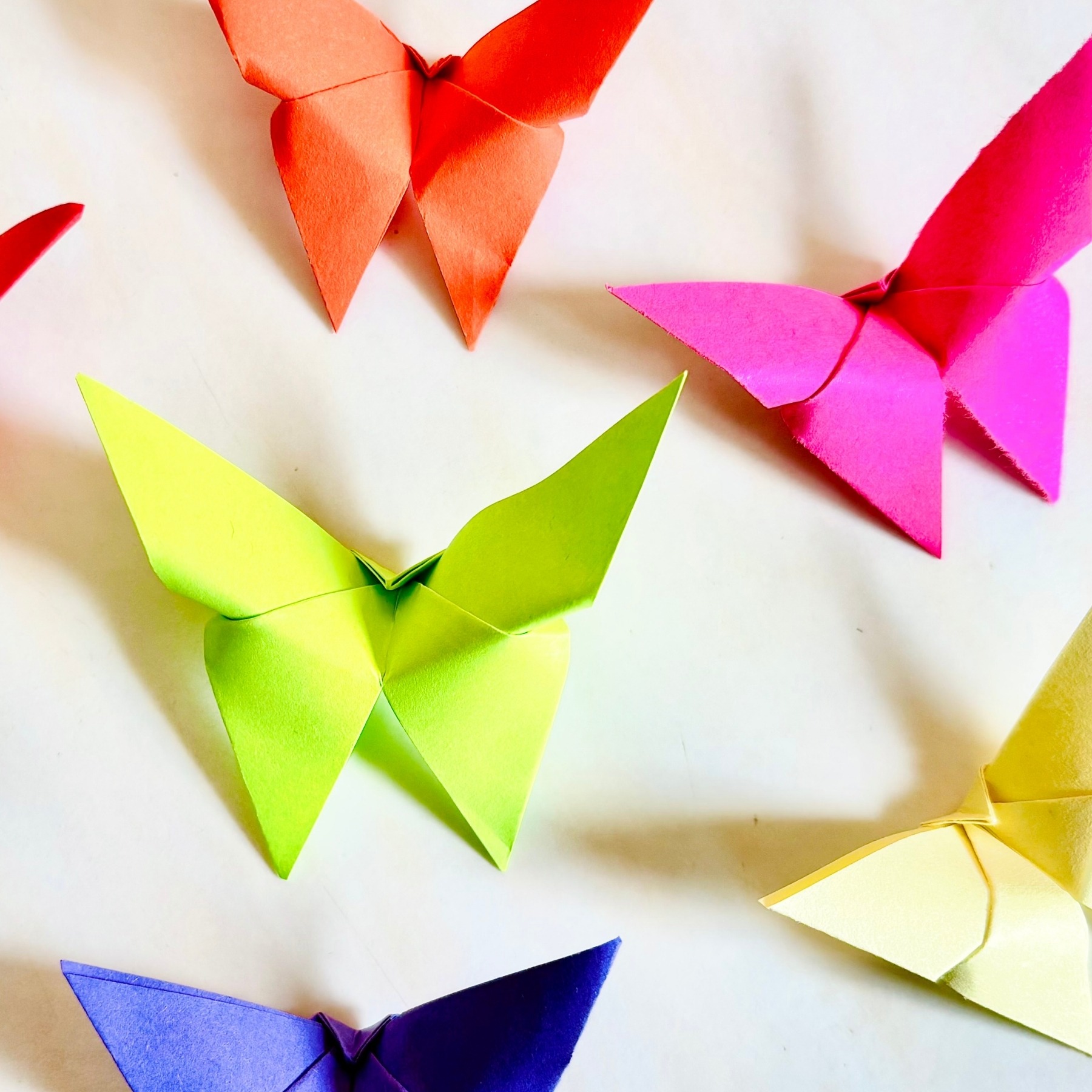 Set on a white background, folded paper butterflies in orange, pink, green, blue and yellow make shadows.