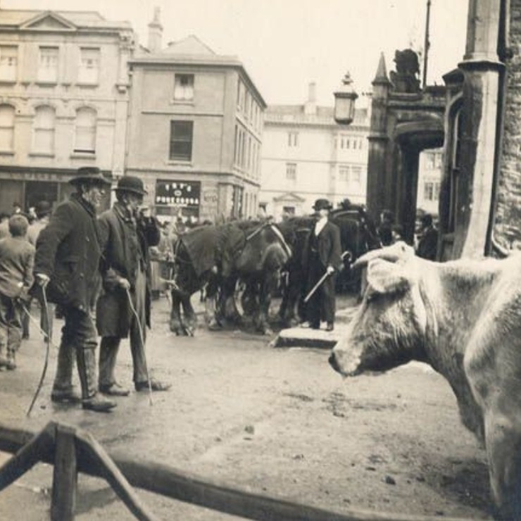 black and white picture of men , cattle and horses in town