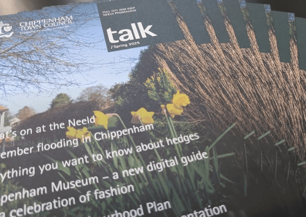 Talk image Photograph of a printed newsletter titled "talk / Spring 2025" from Chippenham Town Council, featuring a close-up of daffodils and a hedge in a garden setting. The newsletter cover highlights topics such as flooding in Chippenham, information about hedges, a new digital guide for Chippenham Museum, and a celebration of fashion.